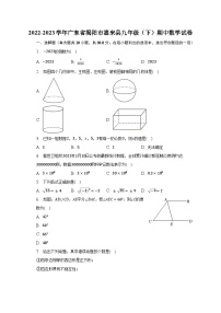 2022-2023学年广东省揭阳市惠来县九年级（下）期中数学试卷（含解析）