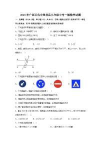 2023年广西百色市田林县九年级中考一模数学试题（含答案）