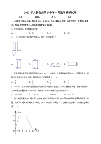 2023年广西崇左市大新县昌明乡中学中考数学模拟试卷（含答案）