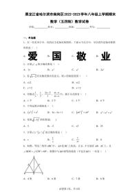 黑龙江省哈尔滨市南岗区2022-2023学年八年级上学期期末数学（五四制）数学试卷（含答案解析）