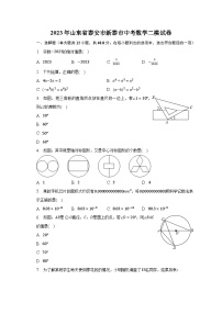 2023年山东省泰安市新泰市中考数学二模试卷（含解析）