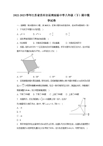 2022-2023学年江苏省苏州市星湾实验中学八年级（下）期中数学试卷(含解析）