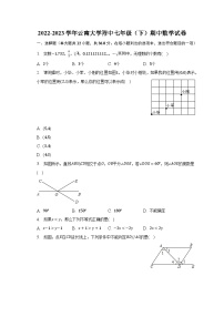 2022-2023学年云南大学附中七年级（下）期中数学试卷(含解析）