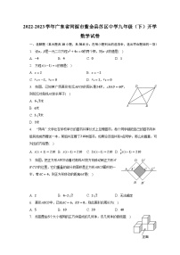 2022-2023学年广东省河源市紫金县苏区中学九年级（下）开学数学试卷（含解析）