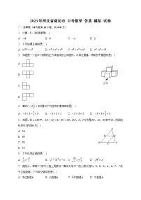 2023年河北省廊坊市中考数学+仿真+模拟+试卷（含答案）