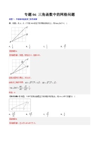 专题06 三角函数中的网格问题初中数学9年级下册同步压轴题（教师版含解析）