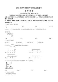 2023年福建省漳州市中考二模数学试题