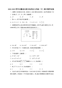 2022-2023学年安徽省合肥市包河区七年级（下）期中数学试卷(含解析）