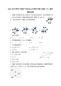 2022-2023学年广东省广州市白云中学初中部七年级（下）期中数学试卷（含解析)