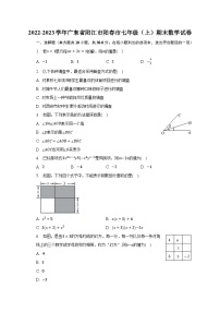 2022-2023学年广东省阳江市阳春市七年级（上）期末数学试卷（含解析)