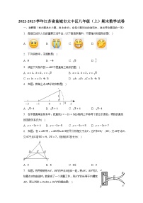 2022-2023学年江苏省盐城市大丰区八年级（上）期末数学试卷（含解析）