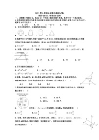 2023年河南省驻马店市第二初级中学中考二模数学试题