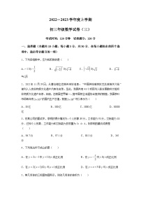 2023年辽宁省沈阳市沈北新区东北育才学校中考三模数学试题（含答案）