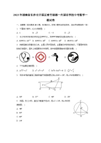 2023年湖南省长沙市开福区青竹湖湘一外国语学校中考数学一模试卷(含解析）