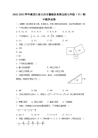 2022-2023学年黑龙江省大庆市肇源县东部五校七年级（下）期中数学试卷（含解析）