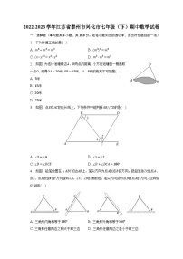 2022-2023学年江苏省泰州市兴化市七年级（下）期中数学试卷（含解析）