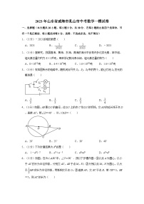 2023年山东省威海市乳山市中考数学一模试卷（含解析）