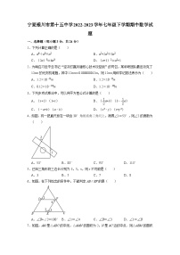 宁夏回族自治区银川市第十五中学2022-2023学年七年级下学期期中数学试题