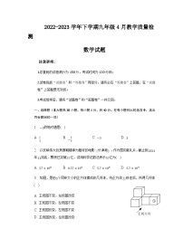 安徽省定远中学2023届九年级下学期4月教学质量检测数学试卷