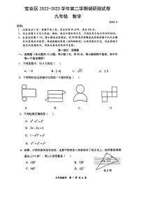 2023年深圳市宝安区初三二模数学试卷（含答案）