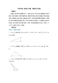 2023年数学中考冲刺二轮复习专题解直角三角形专题