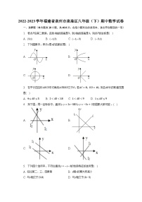 2022-2023学年福建省泉州市泉港区八年级（下）期中数学试卷（含解析）