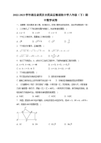 2022-2023学年湖北省武汉市武昌区粮道街中学八年级（下）期中数学试卷（含解析）