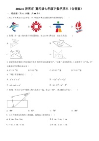 2022.6济南市 商河县七年级下数学期末（含答案）