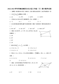 2022-2023学年河南省南阳市内乡县八年级（下）期中数学试卷（含解析）