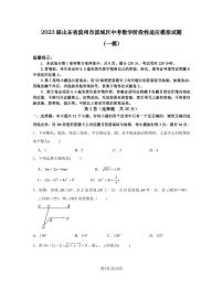 2023届山东省滨州市滨城区中考数学阶段性适应模拟试题（一模）含解析