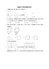 2023年安徽省中考数学模拟试卷 (4)