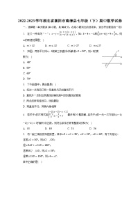 2022-2023学年湖北省襄阳市南漳县七年级（下）期中数学试卷（含解析）