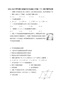 2022-2023学年浙江省温州市文成县八年级（下）期中数学试卷（含解析）