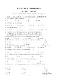 2022-2023-2雅礼集团八下第三次月考数学试卷