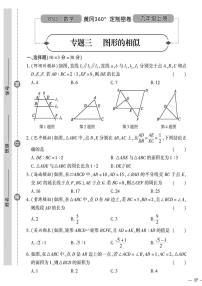 （2023秋）（初中）-北师版数学（九年级全一册上）- 专题三 图形的相似