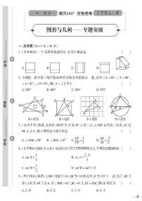 （2023秋）（初中）九年级全一册-沪科版数学-图形与几何——专题突破