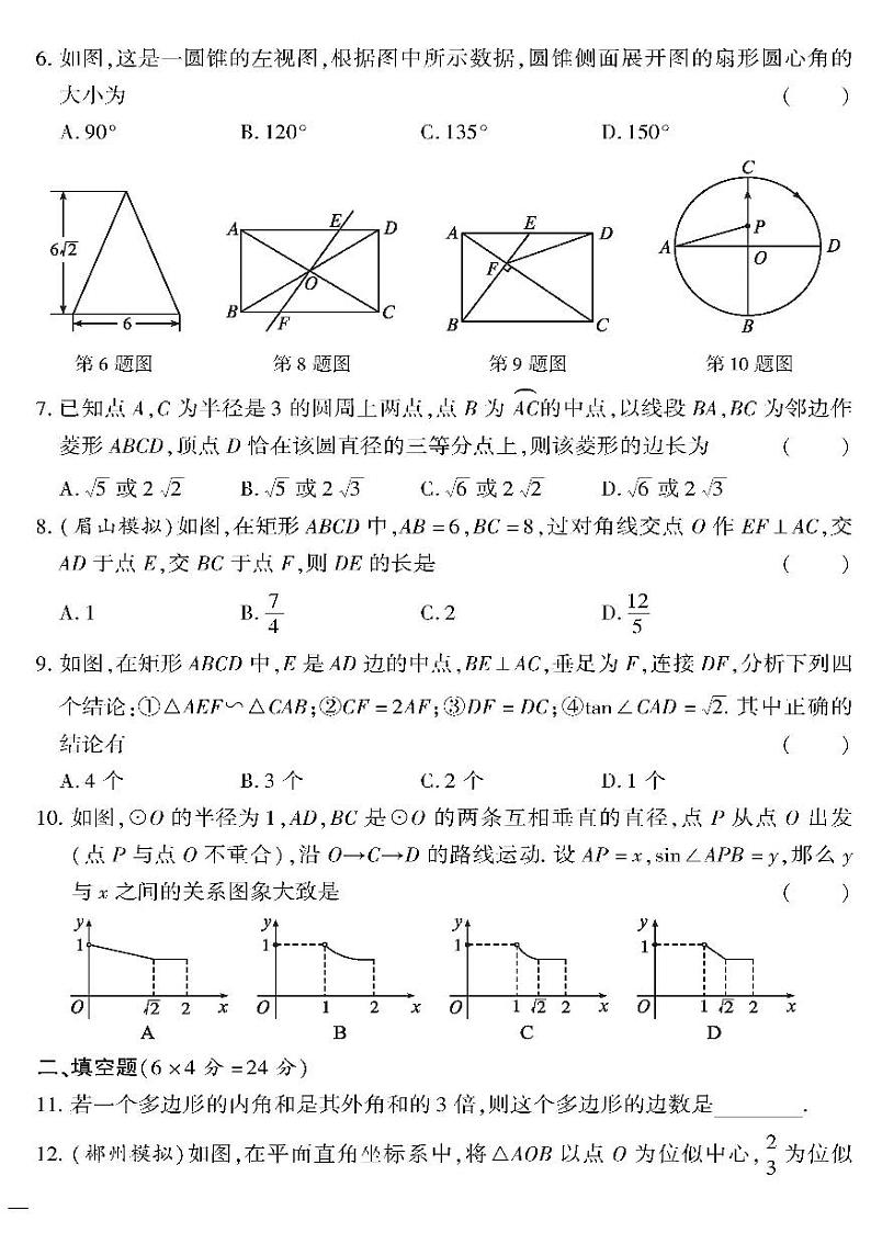 （2023秋）（初中）九年级全一册-沪科版数学-图形与几何——专题突破02