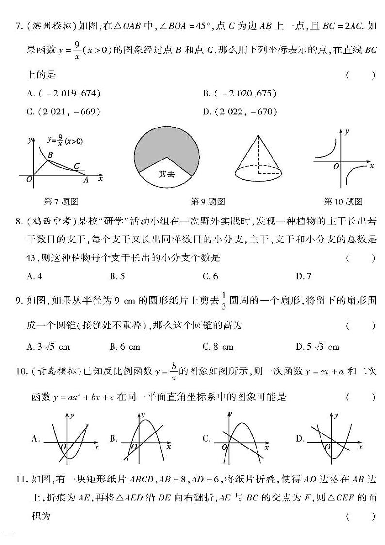 （2023秋）（初中）九年级全一册-沪科版数学-中考模拟检测题（三）02