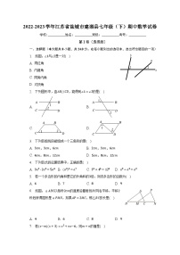 2022-2023学年江苏省盐城市建湖县七年级（下）期中数学试卷（含解析）