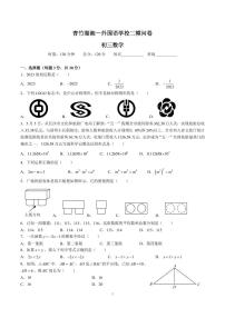 2023青竹湖湘一外国语学校九年级二模数学试卷