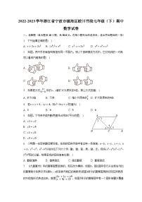 2022-2023学年浙江省宁波市镇海区蛟川书院七年级（下）期中数学试卷（含解析）