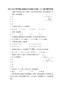 2022-2023学年浙江省温州市文成县七年级（下）期中数学试卷（含解析）