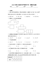 2023年浙江省嘉兴市平湖市中考一模数学试题（含解析）