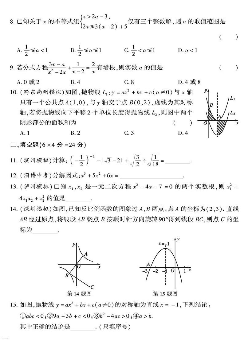 （2023秋）（初中）九年级全一册-青岛版数学-数与代数——专题突破02