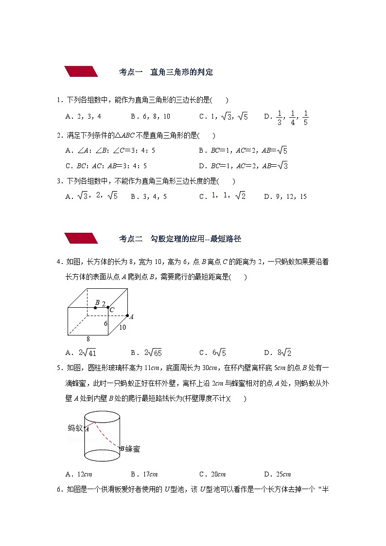 第19讲 直角三角形与勾股定理（强化训练）（教师版含解析）中考数学一轮复习讲义+训练02