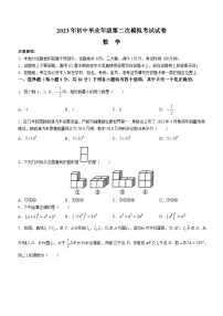 2023年河南省濮阳市中考二模数学试题(含答案)