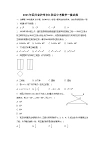 2023年四川省泸州市江阳区中考数学一模试卷（含解析）