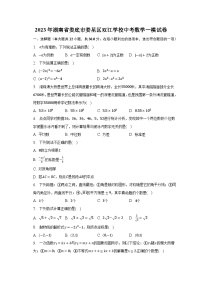 2023年湖南省娄底市娄星区双江学校中考数学一模试卷（含解析）