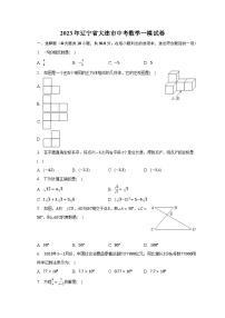 2023年辽宁省大连市中考数学一模试卷（含解析）