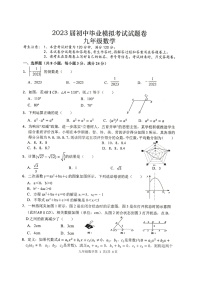 湖南省常德市澧县2023届九年级中考三模数学试卷